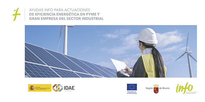 Ayudas para la eficiencia energética